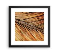 Affiche Poster 30x30cm Tableaux Image Photo Orange Feuille Tropical Wall Art