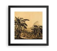 Affiche Poster 30x30cm Tableaux Image Photo Palmiers Forest Des Pluies Wall Art