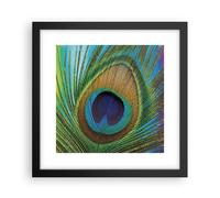 Affiche Poster 30x30cm Tableaux Image Photo Paons Plume Arc En Ciel Wall Art