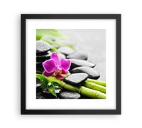 Affiche Poster 30x30cm Tableaux Image Photo Plante pierres bambous spa Wall Art
