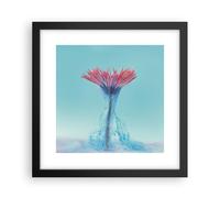 Affiche Poster 30x30cm Tableaux Image Photo Rose Marguerite Encre Wall Art