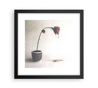 Affiche Poster 30x30cm Tableaux Image Photo Symbole Rose Souffrance Wall Art