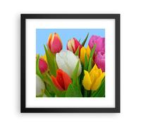 Affiche Poster 30x30cm Tableaux Image Photo Tulipes Bouquet fleurs rosée Art