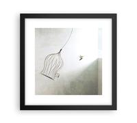Affiche Poster 30x30cm Tableaux Image Photo Vol Oiseau Cage Wall Art Decoration
