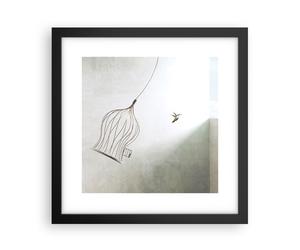 Affiche Poster 30x30cm Tableaux Image Photo Vol Oiseau Cage Wall Art Decoration