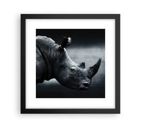 Affiche Poster 30x30cm Tableaux Image Rhinocéros Noir Et Blanc Portrait Art