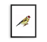 Affiche Poster 30x40cm Tableaux Image Chardonneret Oiseau Aquarelle Wall Art