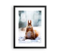 Affiche Poster 30x40cm Tableaux Image Écureuil hiver neige nourriture Wall Art