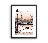 Affiche Poster 30x40cm Tableaux Image France pigeon graphiques illustration Art