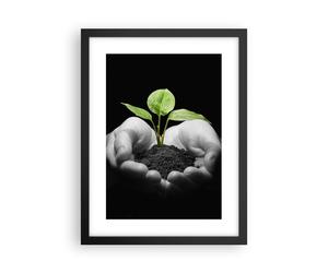 Affiche Poster 30x40cm Tableaux Image Nature plante science protection Wall Art