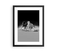 Affiche Poster 30x40cm Tableaux Image Photo Andalouse Chevaux Galop Wall Art