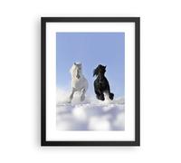 Affiche Poster 30x40cm Tableaux Image Photo Animaux beauté compétition Wall Art