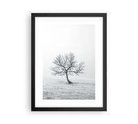 Affiche Poster 30x40cm Tableaux Image Photo arbre champ nature Wall Art