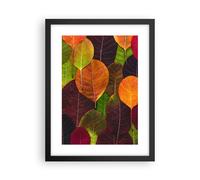 Affiche Poster 30x40cm Tableaux Image Photo Automne Feuilles Graphismes Wall Art