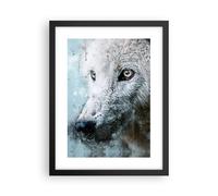Affiche Poster 30x40cm Tableaux Image Photo Blanc Le Loup Image Wall Art