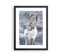 Affiche Poster 30x40cm Tableaux Image Photo Blanc Renne Scandinave Wall Art