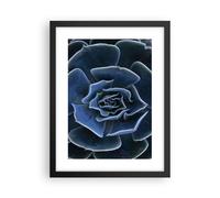 Affiche Poster 30x40cm Tableaux Image Photo Bleu Cactus Fleur Wall Art