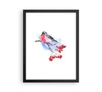 Affiche Poster 30x40cm Tableaux Image Photo Bouvreuil On Branche Wall Art
