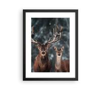 Affiche Poster 30x40cm Tableaux Image Photo Cerf renne chevreuil Wall Art