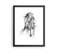 Affiche Poster 30x40cm Tableaux Image Photo Cheval Galop Des Animaux Wall Art