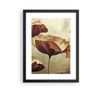 Affiche Poster 30x40cm Tableaux Image Photo coquelicot fleur prairie Wall Art