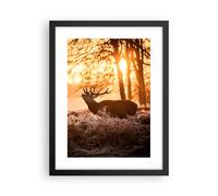 Affiche Poster 30x40cm Tableaux Image Photo Deer bruyère animaux Wall Art