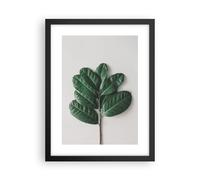 Affiche Poster 30x40cm Tableaux Image Photo Feuilles Plantes Botanique Wall Art