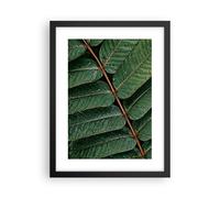 Affiche Poster 30x40cm Tableaux Image Photo Gouttes Eau Feuilles Wall Art