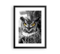 Affiche Poster 30x40cm Tableaux Image Photo Hibou oiseau nature Wall Art