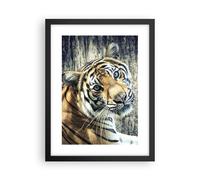 Affiche Poster 30x40cm Tableaux Image Photo Inde pierre tigre sauvage Wall Art