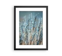 Affiche Poster 30x40cm Tableaux Image Photo Lavande Lame Fleur Wall Art