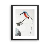 Affiche Poster 30x40cm Tableaux Image Photo Libellule Oiseau Fleur Wall Art