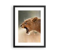 Affiche Poster 30x40cm Tableaux Image Photo Lion Lionne Crocs Wall Art