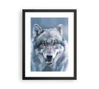 Affiche Poster 30x40cm Tableaux Image Photo Loup Prédateur Wildness Wall Art