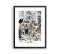 Affiche Poster 30x40cm Tableaux Image Photo Meute Loups Hiver Wall Art