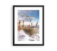 Affiche Poster 30x40cm Tableaux Image Photo Mouette Mer Côte Wall Art Decoration