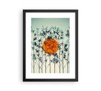Affiche Poster 30x40cm Tableaux Image Photo Ouest Le Soleil Herbe Wall Art