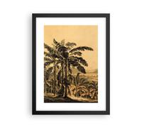 Affiche Poster 30x40cm Tableaux Image Photo Palmiers Forest Des Pluies Wall Art