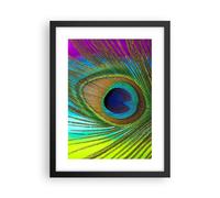 Affiche Poster 30x40cm Tableaux Image Photo Paons Plume Arc En Ciel Wall Art