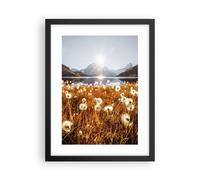 Affiche Poster 30x40cm Tableaux Image Photo Pissenlits Soleil Champ Wall Art