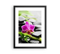 Affiche Poster 30x40cm Tableaux Image Photo Plante pierres bambous spa Wall Art