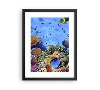 Affiche Poster 30x40cm Tableaux Image Photo Récif de corail Wall Art Decoration
