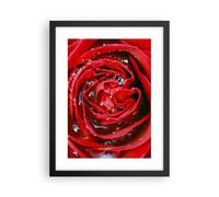 Affiche Poster 30x40cm Tableaux Image Photo Rose fleur pétales rosée Wall Art