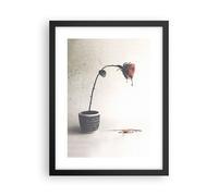 Affiche Poster 30x40cm Tableaux Image Photo Symbole Rose Souffrance Wall Art