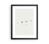 Affiche Poster 30x40cm Tableaux Image Photo Vol Oiseau Héron Wall Art Decoration