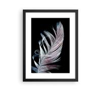 Affiche Poster 30x40cm Tableaux Image Plume Les Couleurs La Délicatesse Wall Art