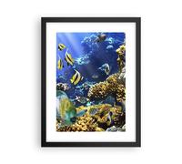 Affiche Poster 30x40cm Tableaux Image Récif corallien océan crabe poisson Art