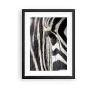 Affiche Poster 30x40cm Tableaux Image Zebra rayures vie sauvage safari Wall Art
