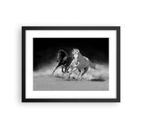 Affiche Poster 40x30cm Tableaux Image Photo Andalouse Chevaux Galop Wall Art