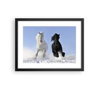 Affiche Poster 40x30cm Tableaux Image Photo Animaux beauté compétition Wall Art